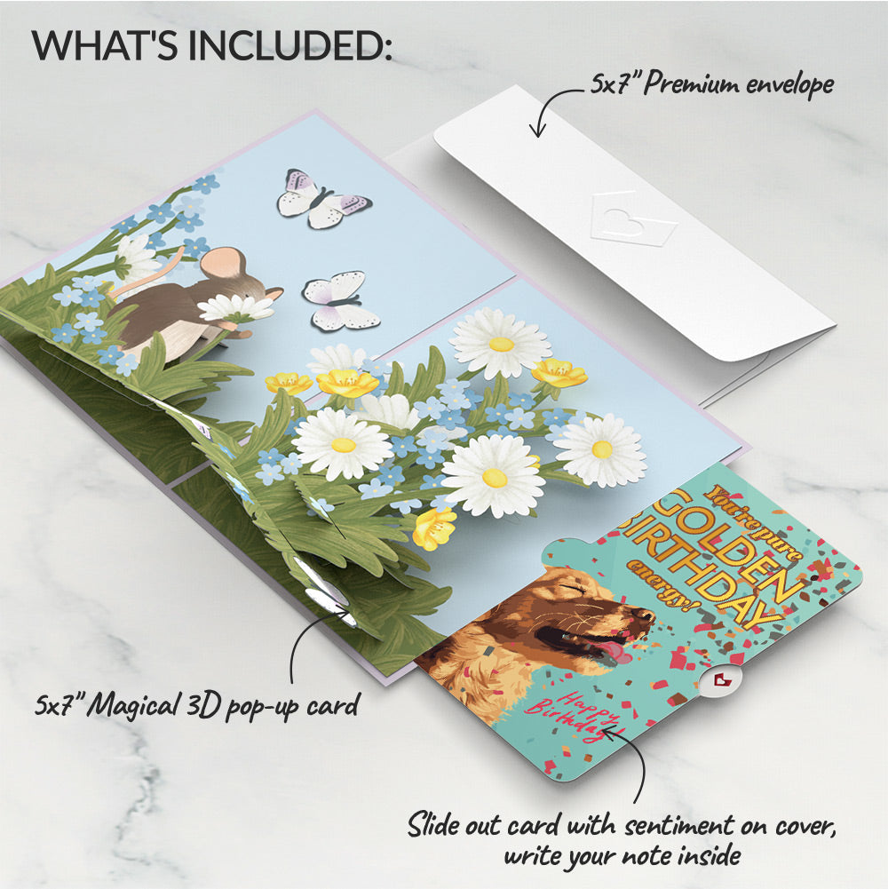 Field Mouse in the Flowers Birthday Pop-Up Card and Golden Energy Sentiment Set