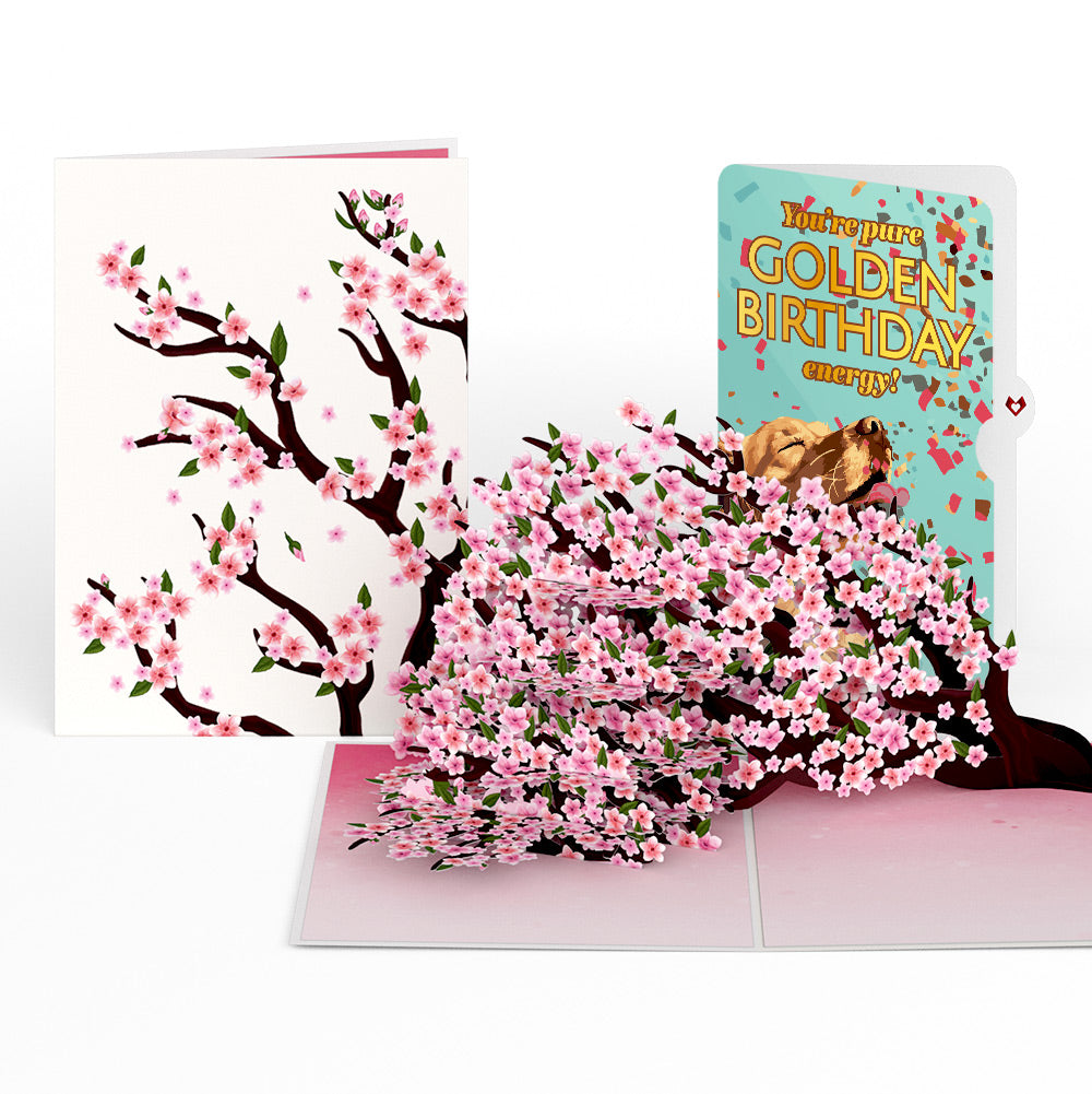 Cherry Blossom Branches in Bloom Birthday Pop-Up Card and Golden Energy Sentiment Set