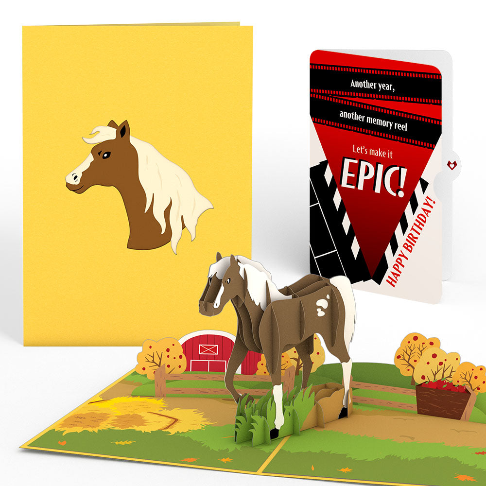 Horse Birthday Pop-Up Card and Epic Reel Sentiment Set