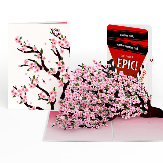 Cherry Blossom Branches in Bloom Birthday Pop-Up Card and Epic Reel Sentiment Set