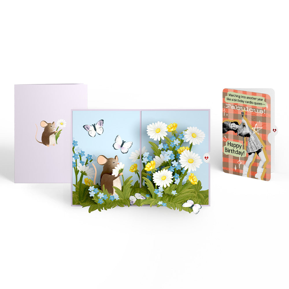 Field Mouse in the Flowers Birthday Pop-Up Card and Cardio Queen Sentiment Set