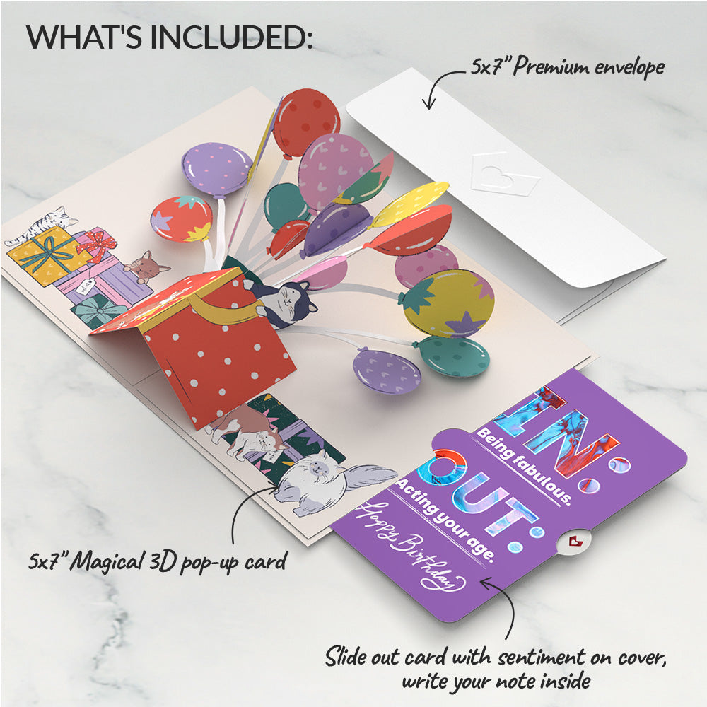 Curious Cats Birthday Pop-Up Card and IN & OUT Sentiment Set