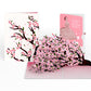 Cherry Blossom Branches in Bloom Birthday Pop-Up Card and Dancing Through Life Sentiment Set