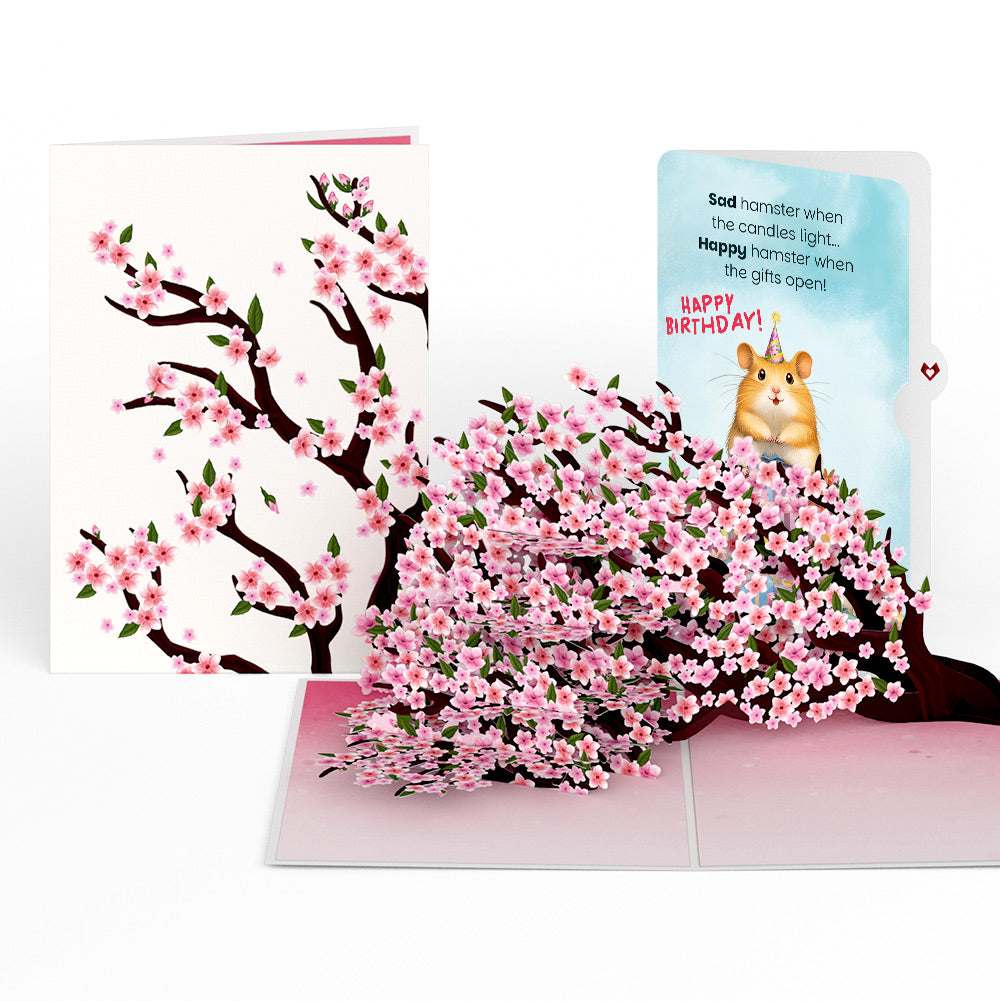 Cherry Blossom Branches in Bloom Birthday Pop-Up Card and Happy Hamster Sentiment Set