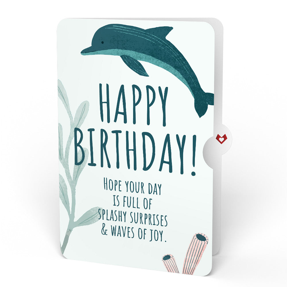 Playful Dolphins Birthday Pop-Up Card and Sentiment Set
