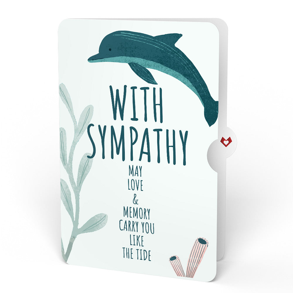 Playful Dolphins Sympathy Pop-Up Card and Sentiment Set