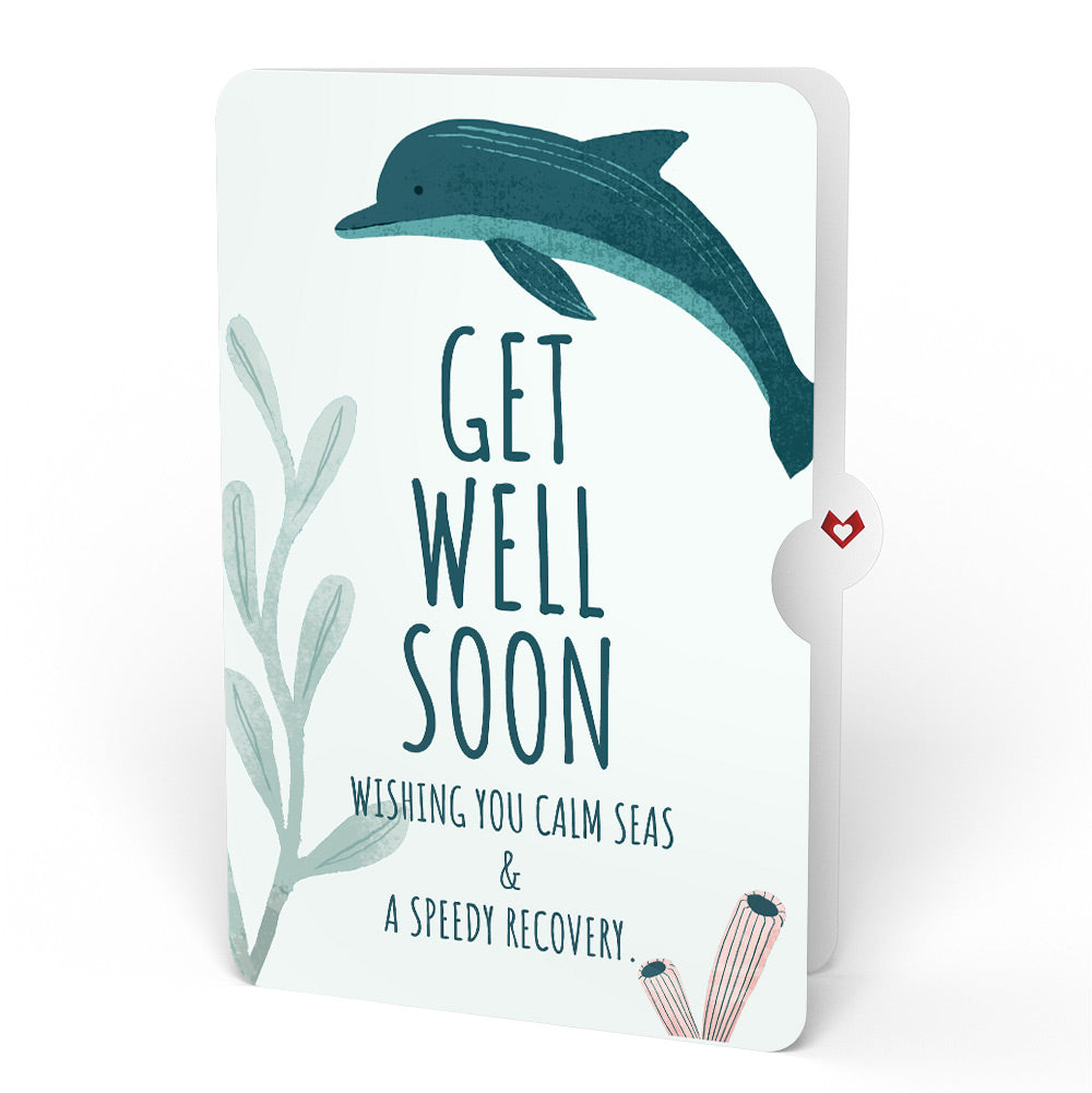 Playful Dolphins Get Well Soon Pop-Up Card and Sentiment Set