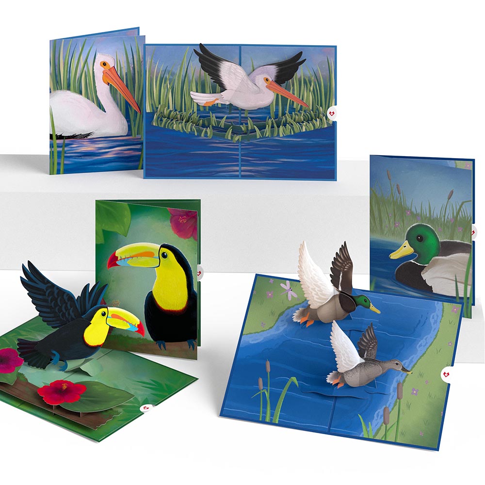 Birds in Flight 3-Pack