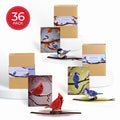 Seasonal Birds Box Set Bundle (Assorted 36-Pack): Paperpop® Card