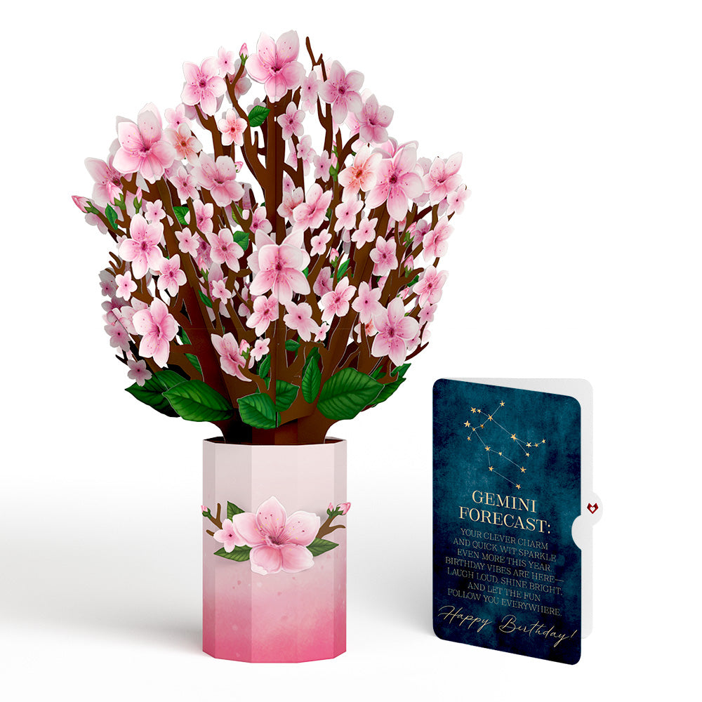Cherry Blossom Birthday Bouquet and Gemini Zodiac Sentiment Set