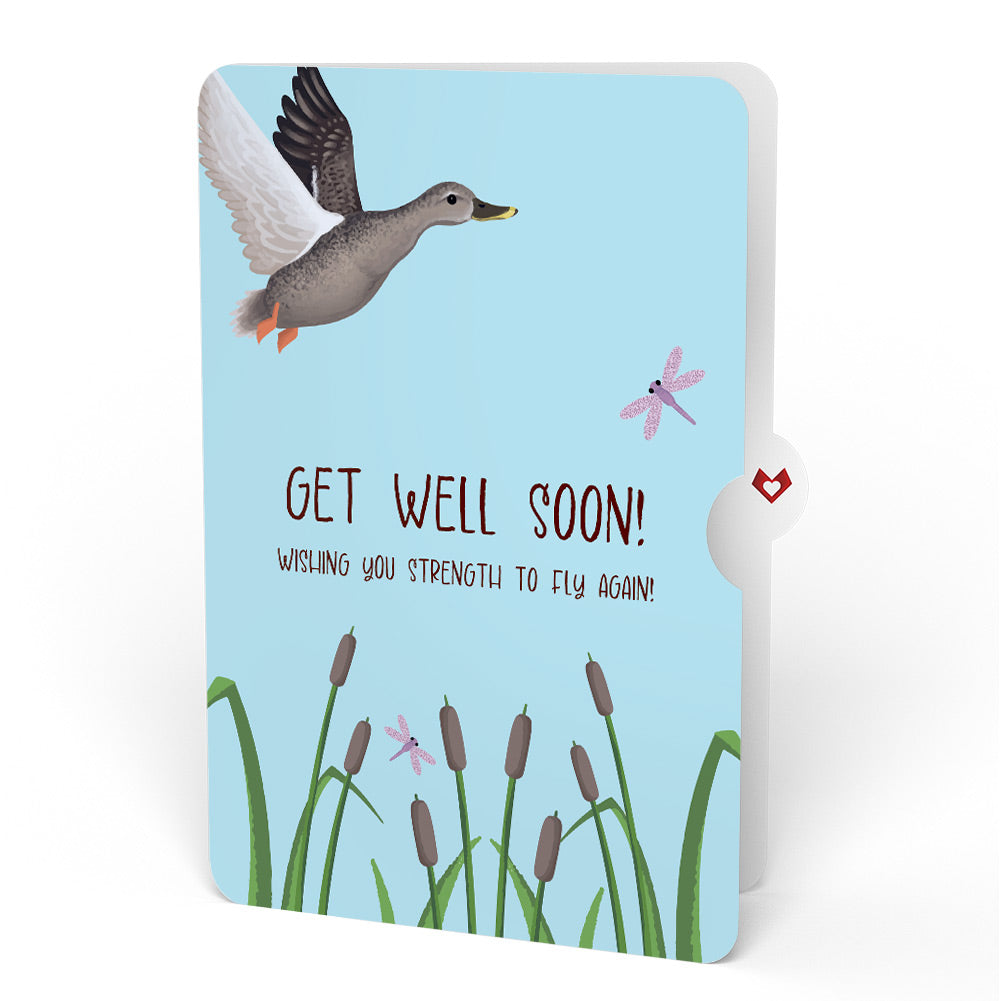 Pondside Mallard Ducks Get Well Soon Pop-Up Card and Sentiment Set