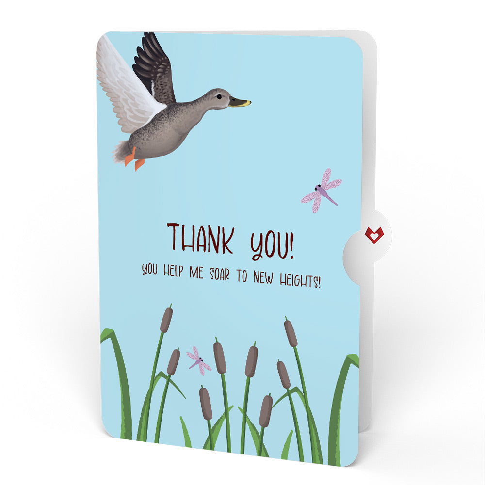 Pondside Mallard Ducks Thank You Pop-Up Card and Sentiment Set