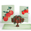 Apple Tree Congratulations Pop-Up Card and Sentiment Set
