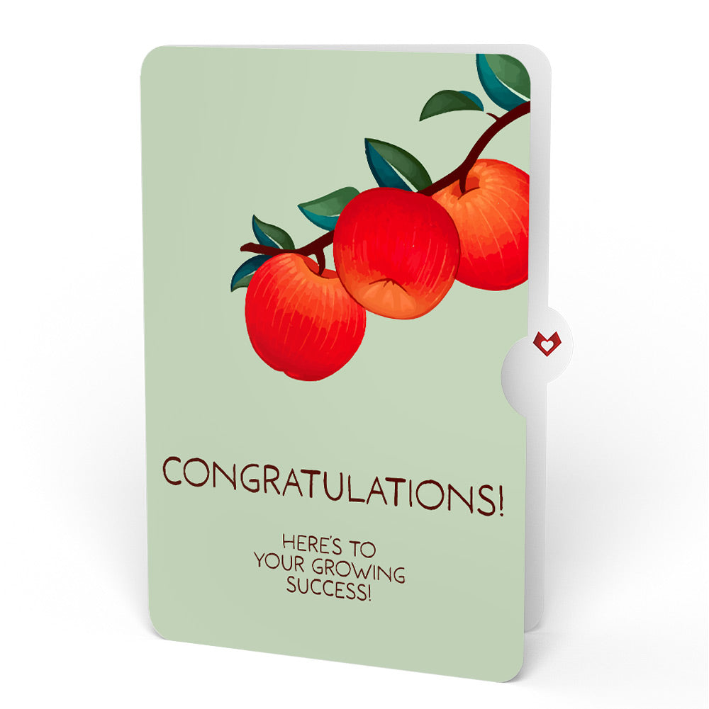 Apple Tree Congratulations Pop-Up Card and Sentiment Set