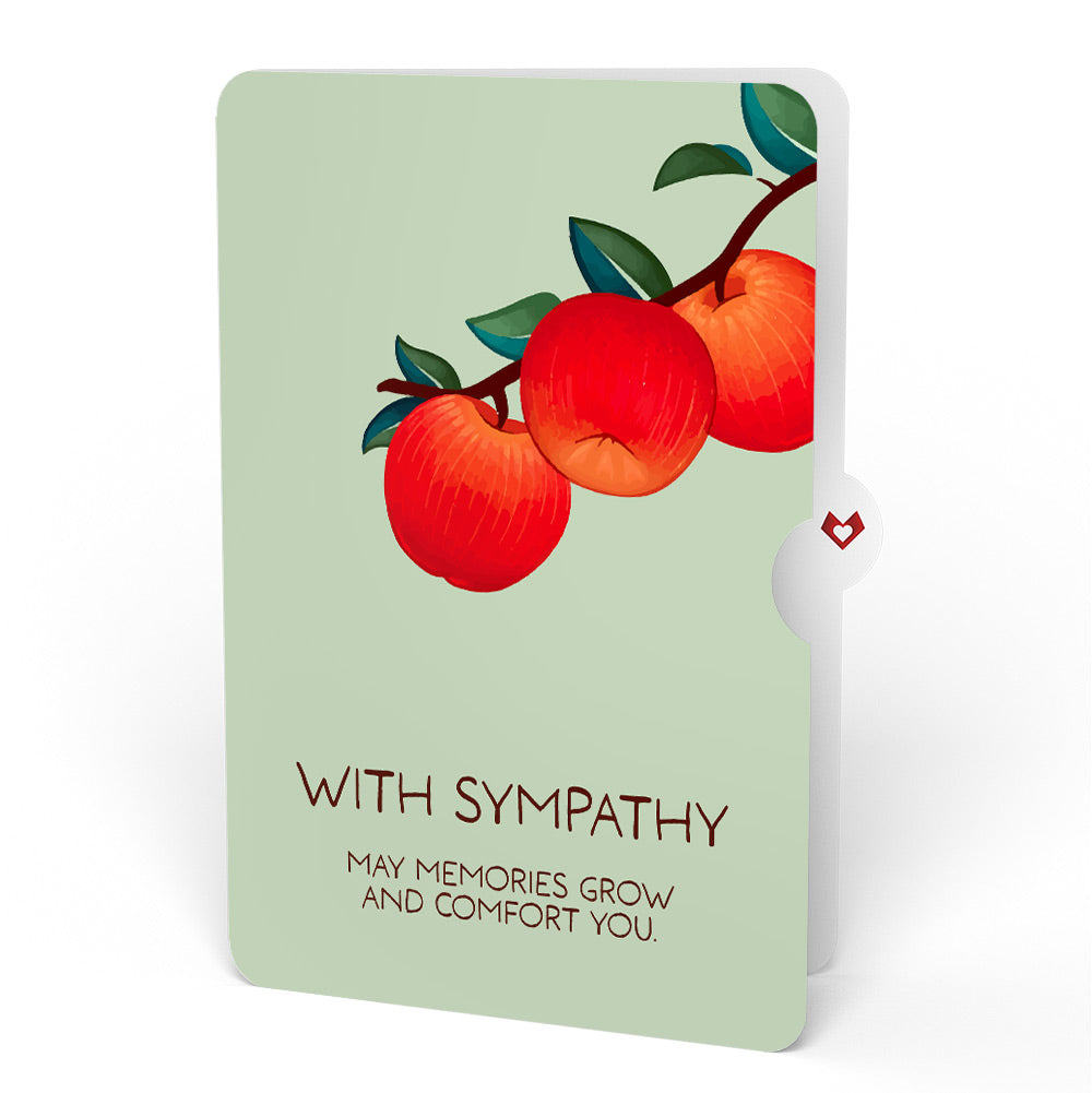 Apple Tree Sympathy Pop-Up Card and Sentiment Set