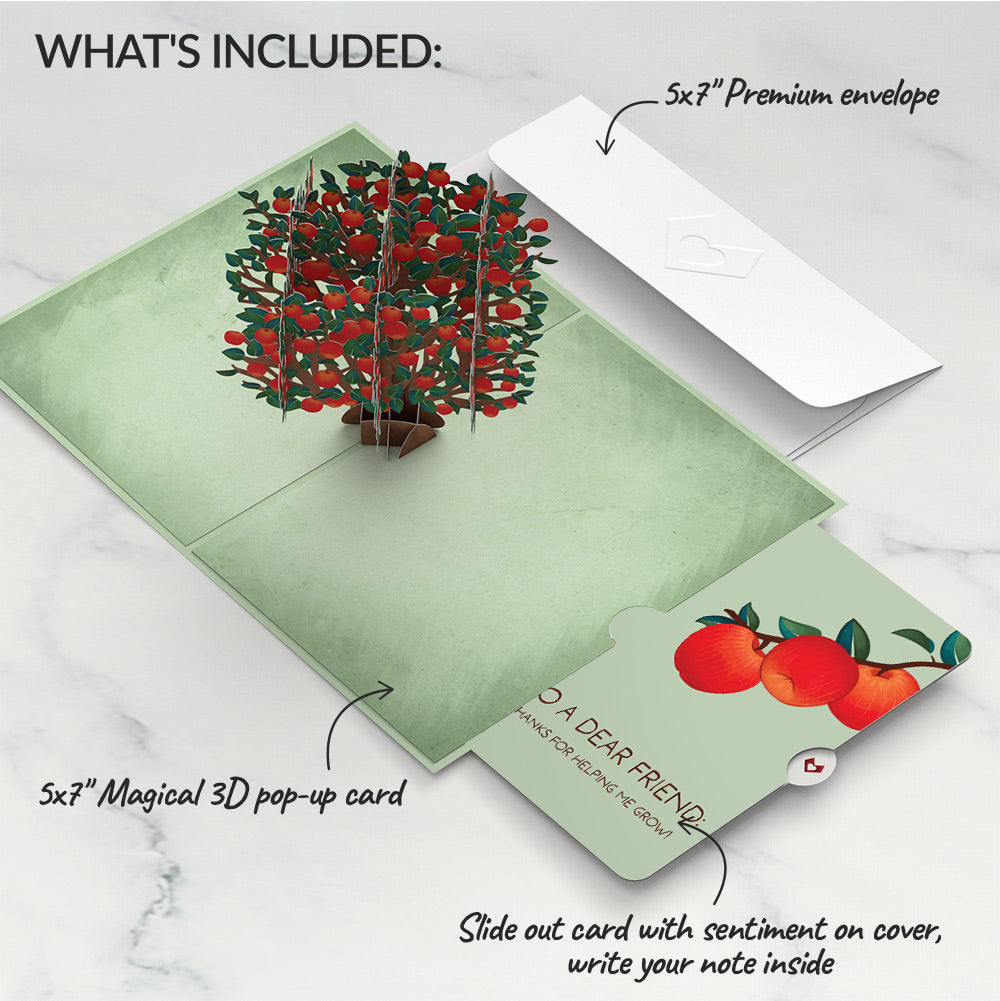Apple Tree Thank you Pop-Up Card and Sentiment Set for Friend