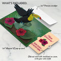 Rainforest Toucan Anniversary Pop-Up Card and Hibiscus Sentiment Set