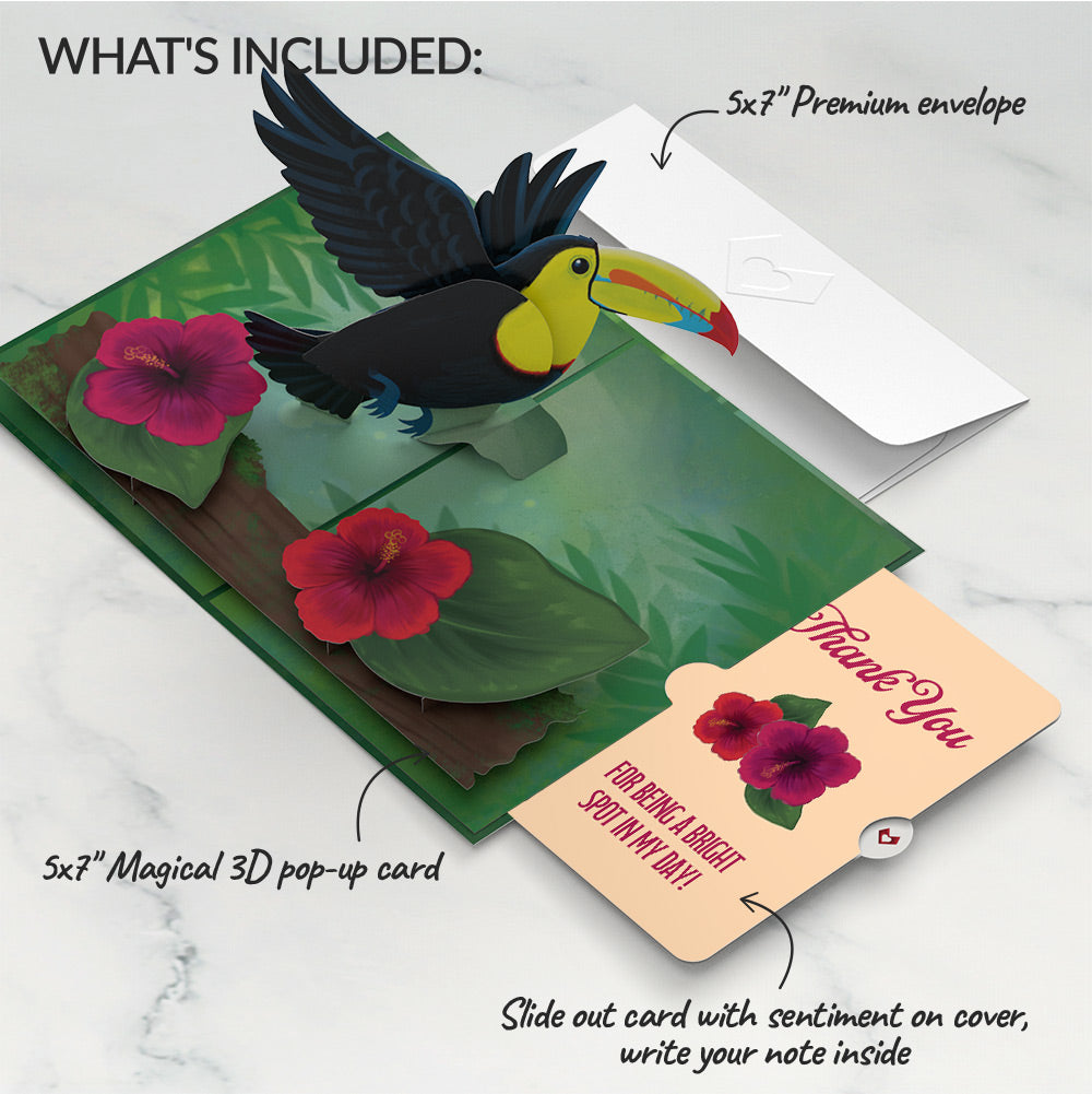 Rainforest Toucan Thank You Pop-Up Card and Hibiscus Sentiment Set
