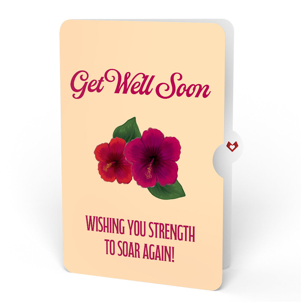 Rainforest Toucan Get Well Soon Pop-Up Card and Hibiscus Sentiment Set