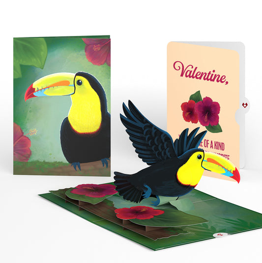Rainforest Toucan Valentine Pop-Up Card and Hibiscus Sentiment Set