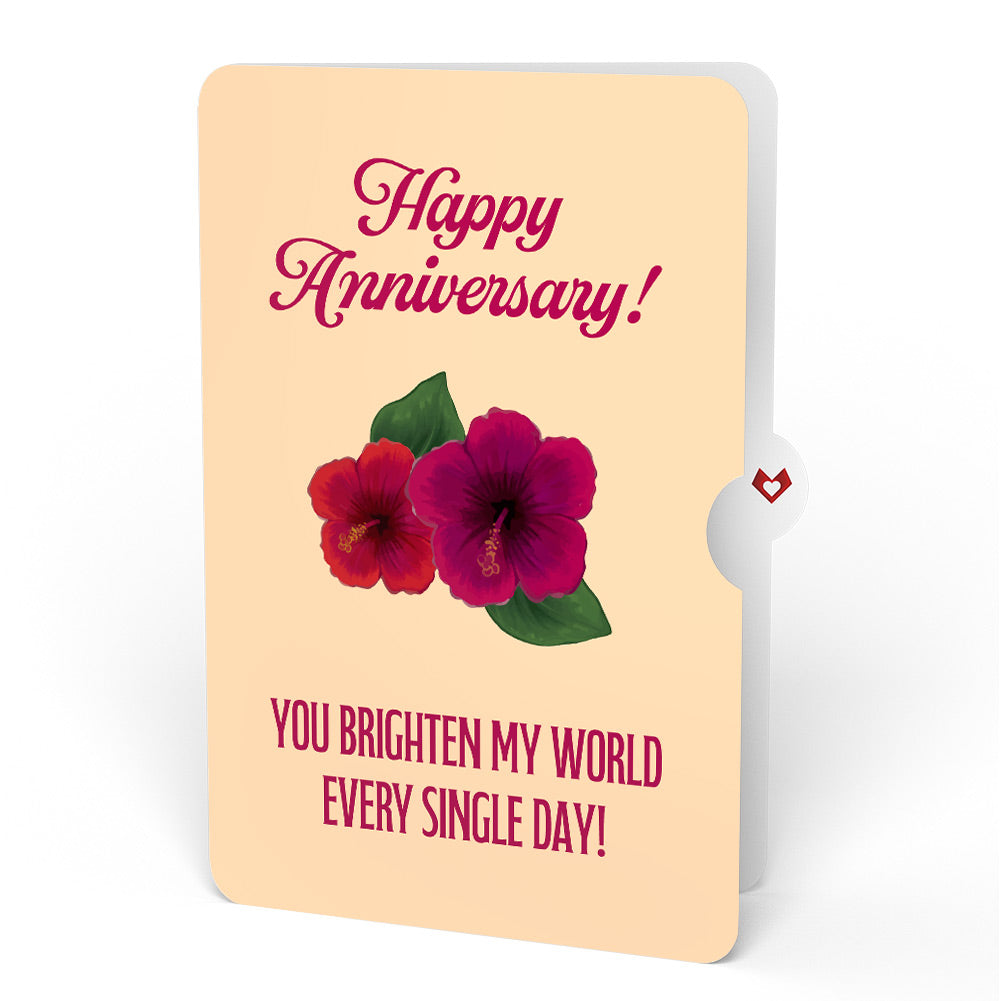 Rainforest Toucan Bright Anniversary Pop-Up Card and Hibiscus Sentiment Set