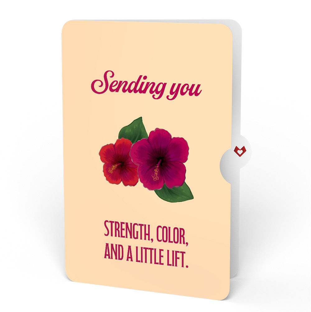 Rainforest Toucan Encouragement Pop-Up Card and Hibiscus Sentiment Set