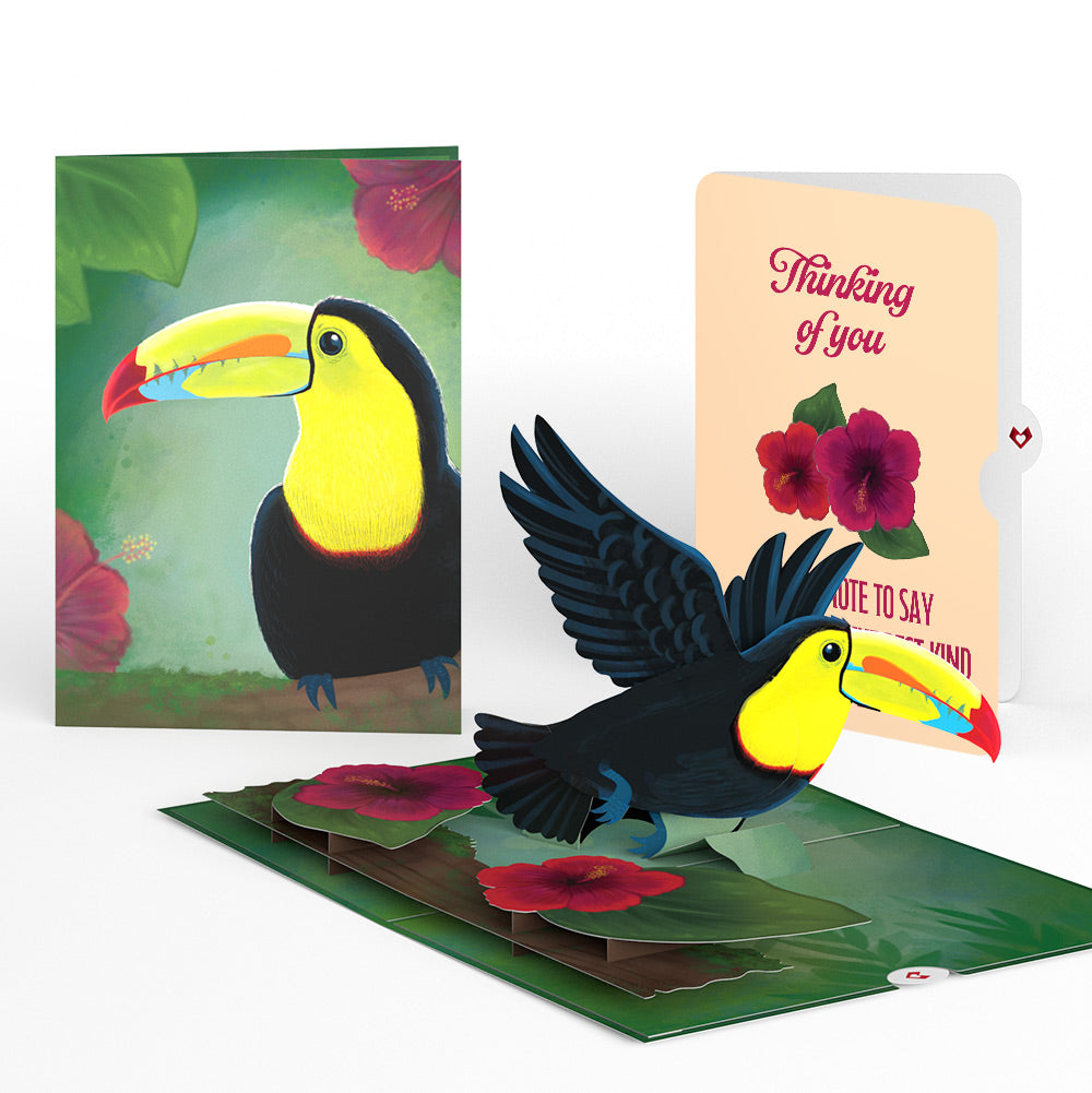 Rainforest Toucan Thinking of You Pop-Up Card and Hibiscus Sentiment Set