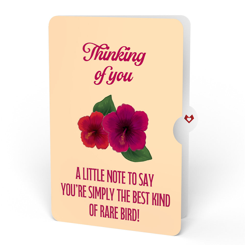 Rainforest Toucan Thinking of You Pop-Up Card and Hibiscus Sentiment Set