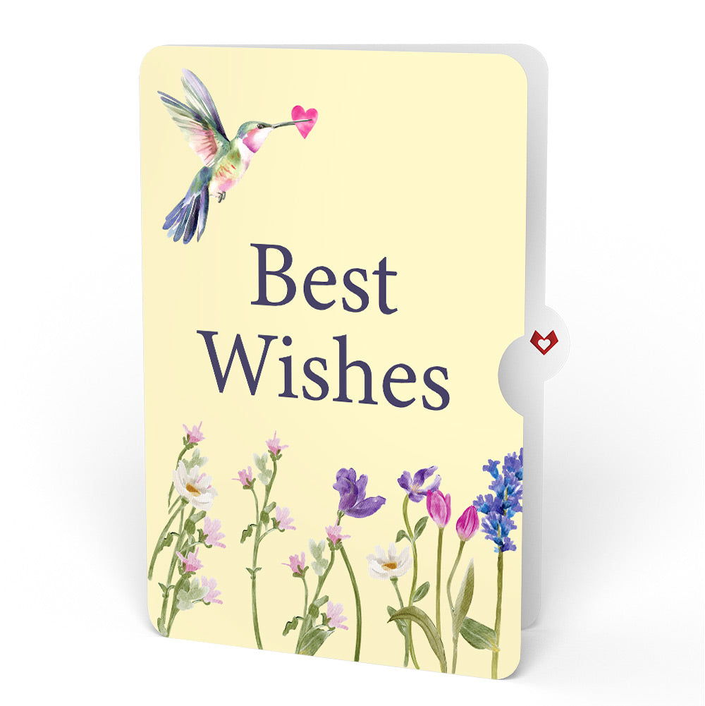 Love in Bloom Hummingbird Pop-Up Card and Sentiment Set