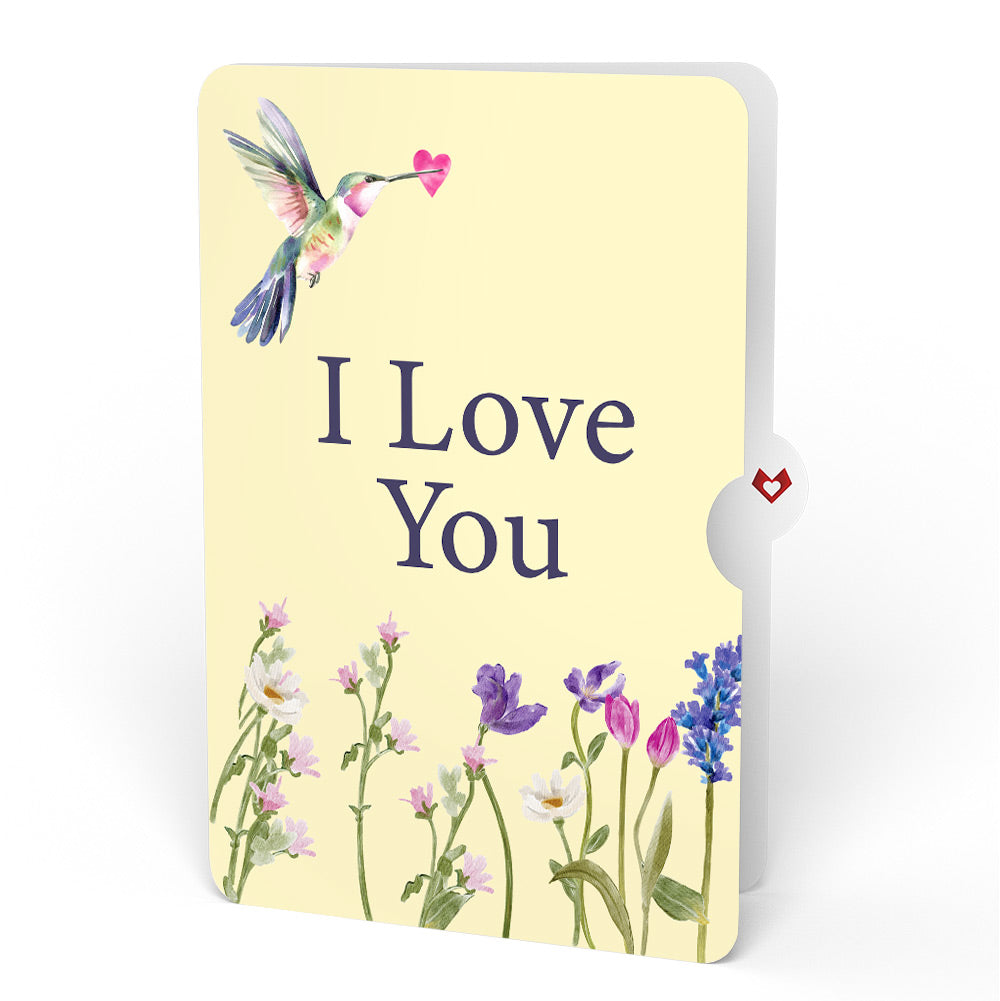 Love in Bloom Hummingbird Love Pop-Up Card and Sentiment Set