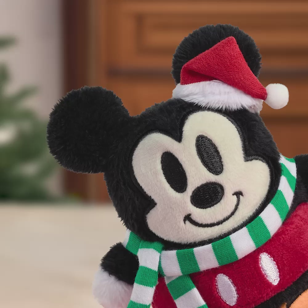 Disney's Mickey Mouse 'Most Wonderful Time of the Year' Plushpop Card