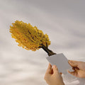 Gingko Biloba Poet Tree Pop-Up Paper Sculpture