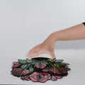 Radiant Rose Suncatcher Bouquet