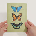 Butterflies in Flight Pop-Up Card