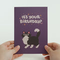 Your Gift Is in the Litterbox Birthday Cat Pop-Up Card