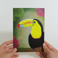 Rainforest Toucan Pop-Up Card