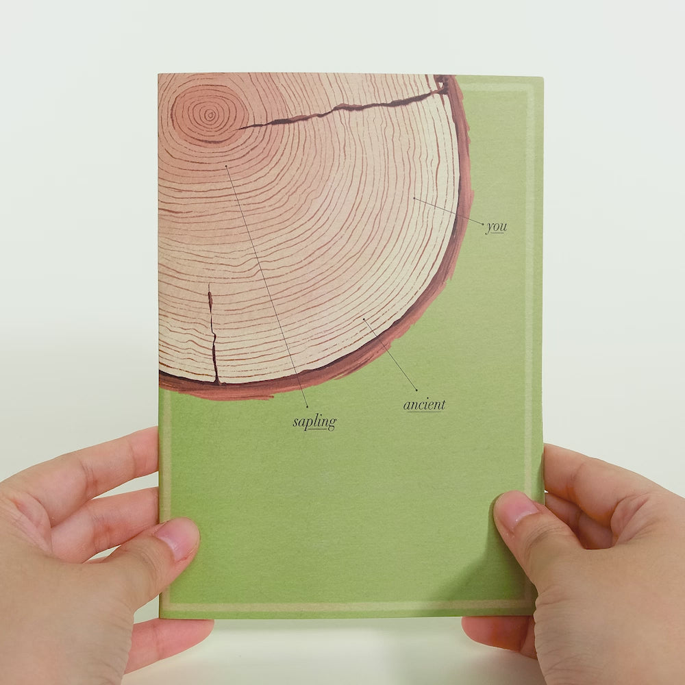 Ringing In Another Year Birthday Pop-Up Card