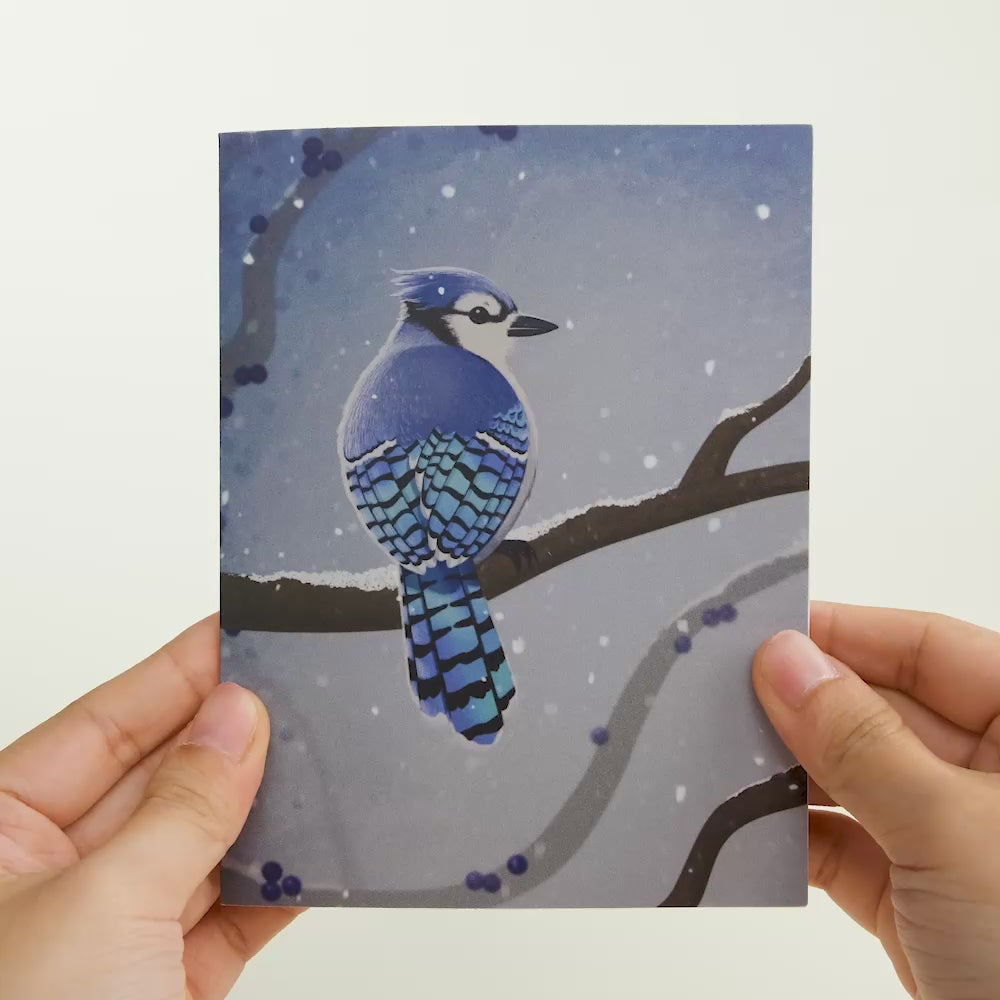 Winter Bird Box Set (Assorted 12-Pack): Paperpop® Card