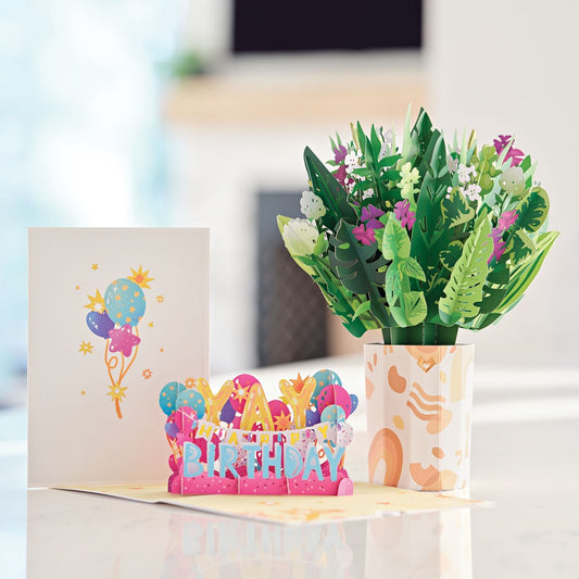 Houseplant Birthday Bundle