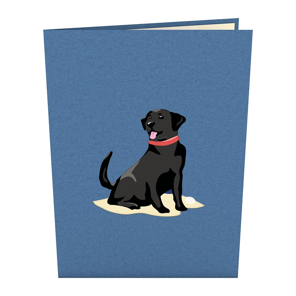 Black Lab Pop-Up Card