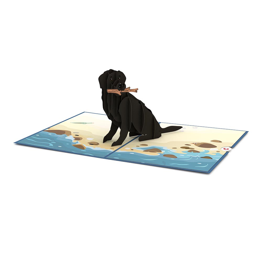 Black Lab Pop-Up Card