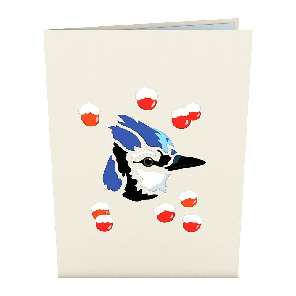 Blue Jay Pop-Up Card