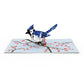 Blue Jay Pop-Up Card