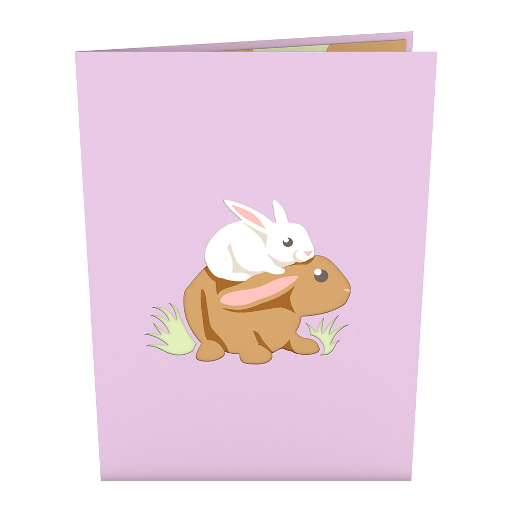 Bunny Family Pop up Card