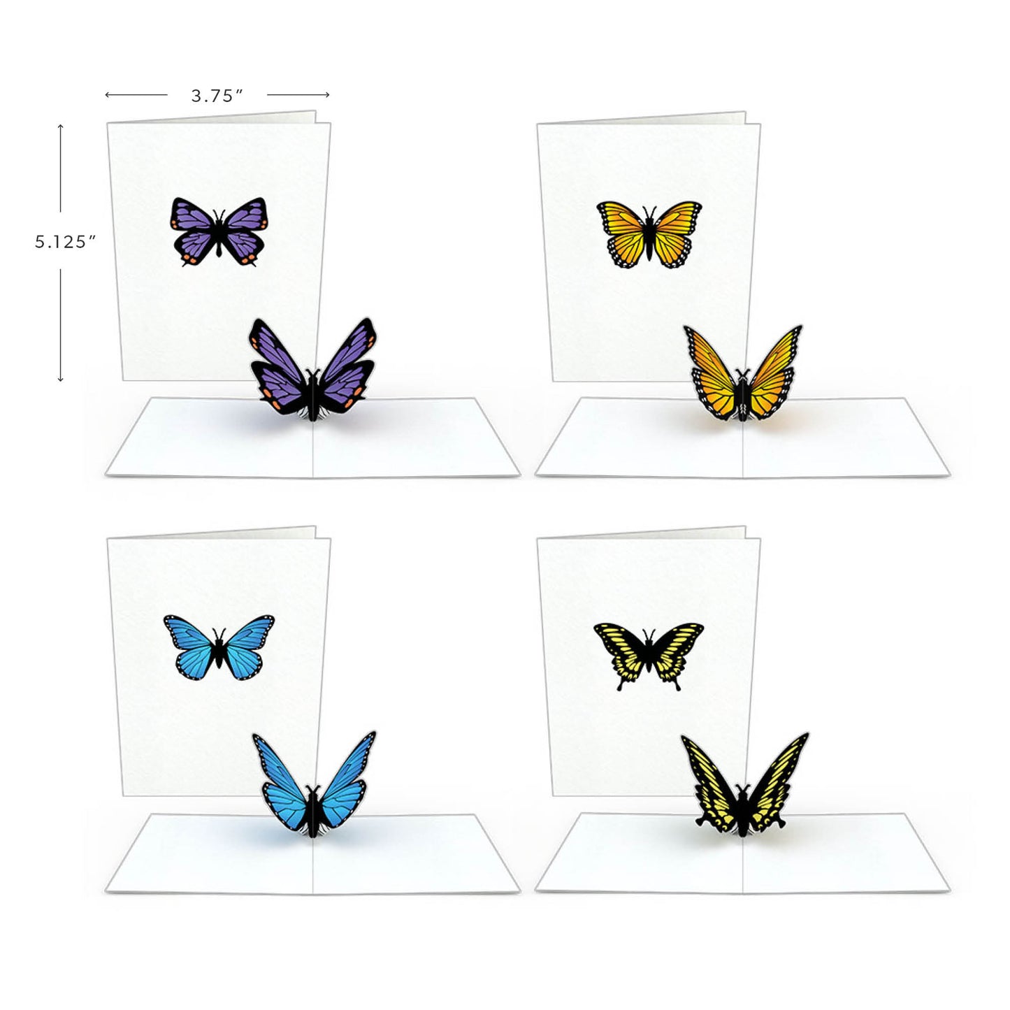 Butterfly Notecards (Assorted 4-Pack)