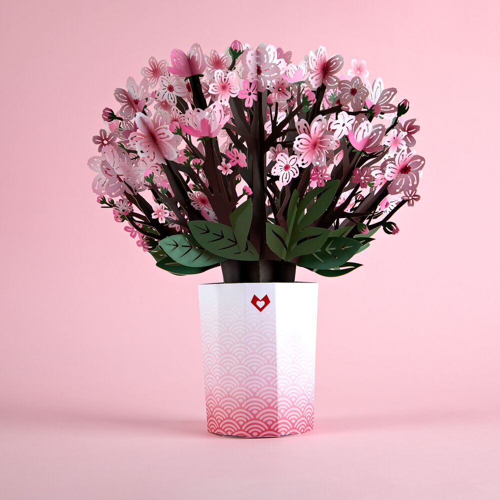 Cherry shop blossom bouquet