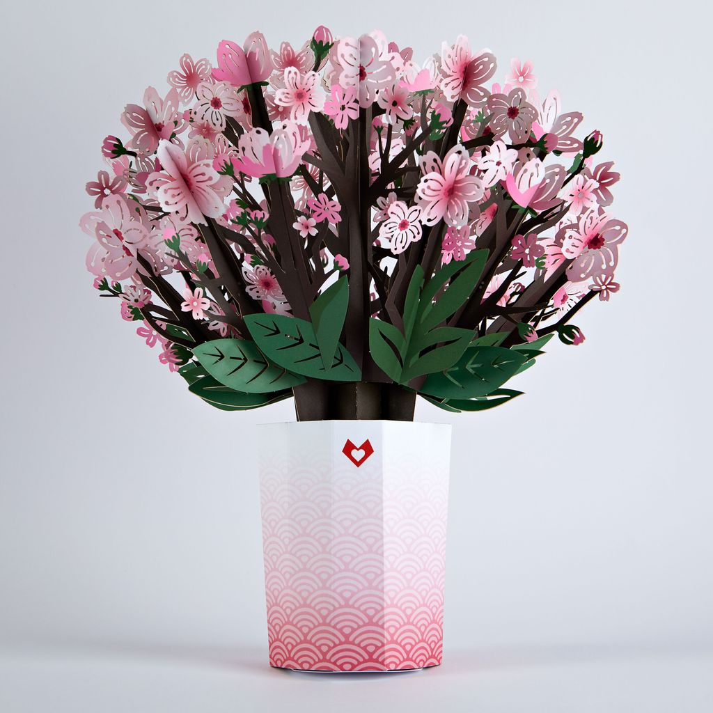 Cherry Blossom & Lily Bloom Bundle