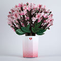 Cherry Blossom & Lily Bloom Bundle
