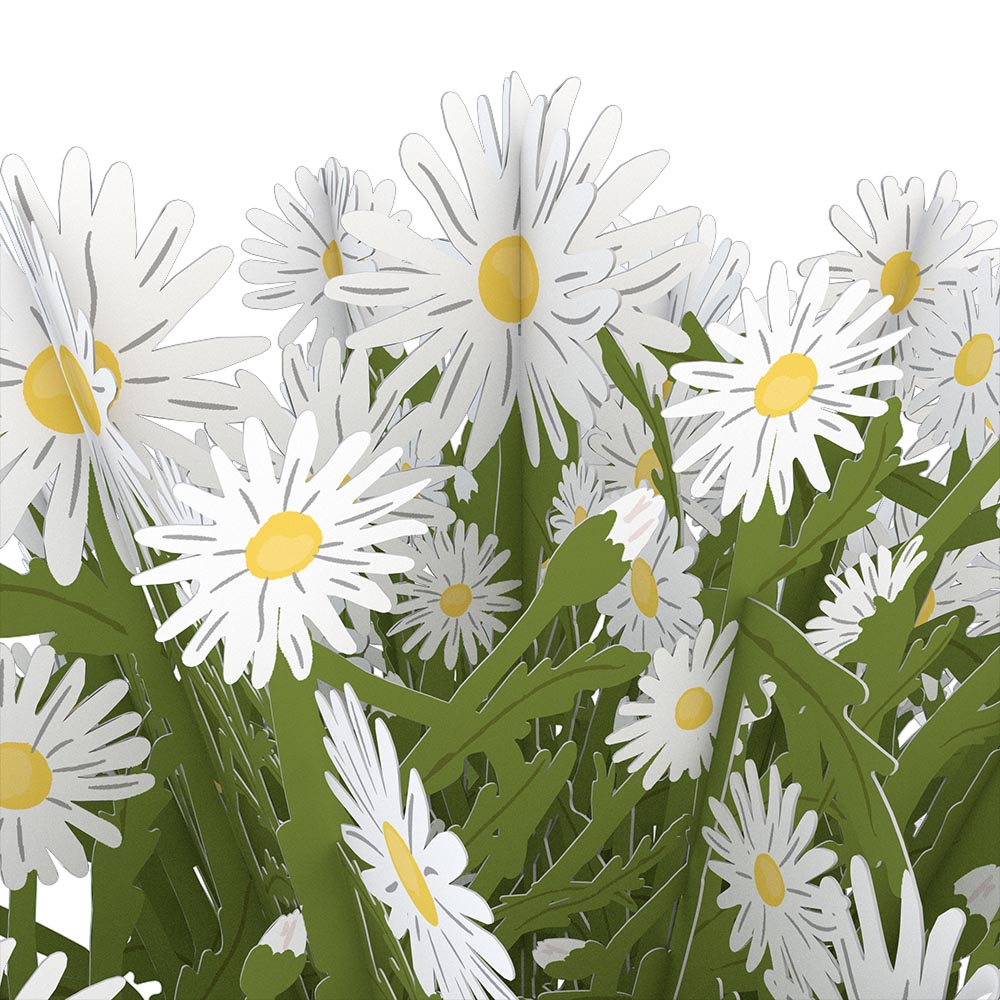 Daisy Bouquet