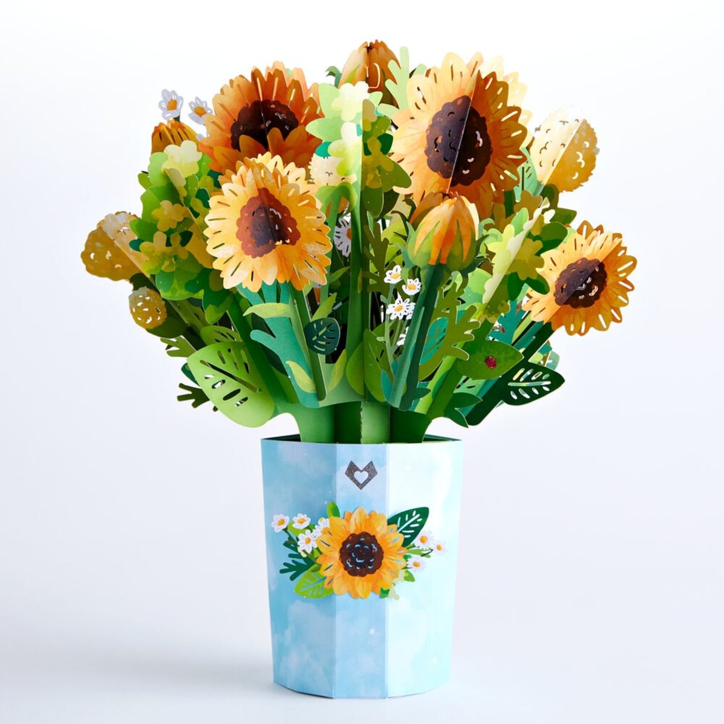 Mother’s Day Hummingbird Sunflower Bundle